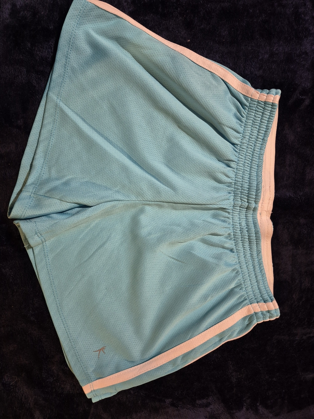 Danskin Now Aqua Athletic Shorts with Pink Trim